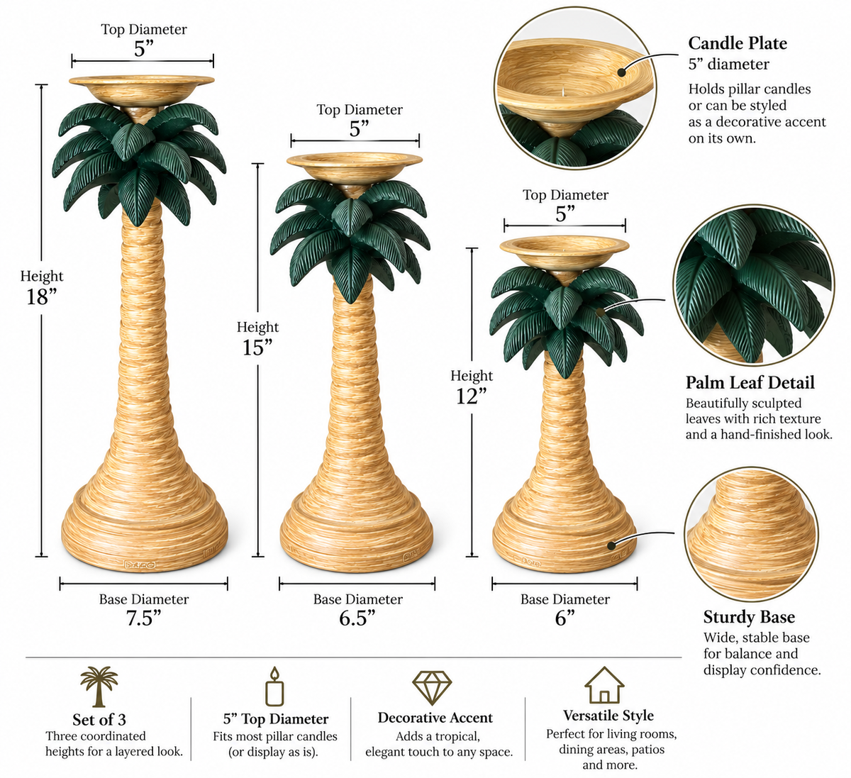 Tropical Palm Trees
