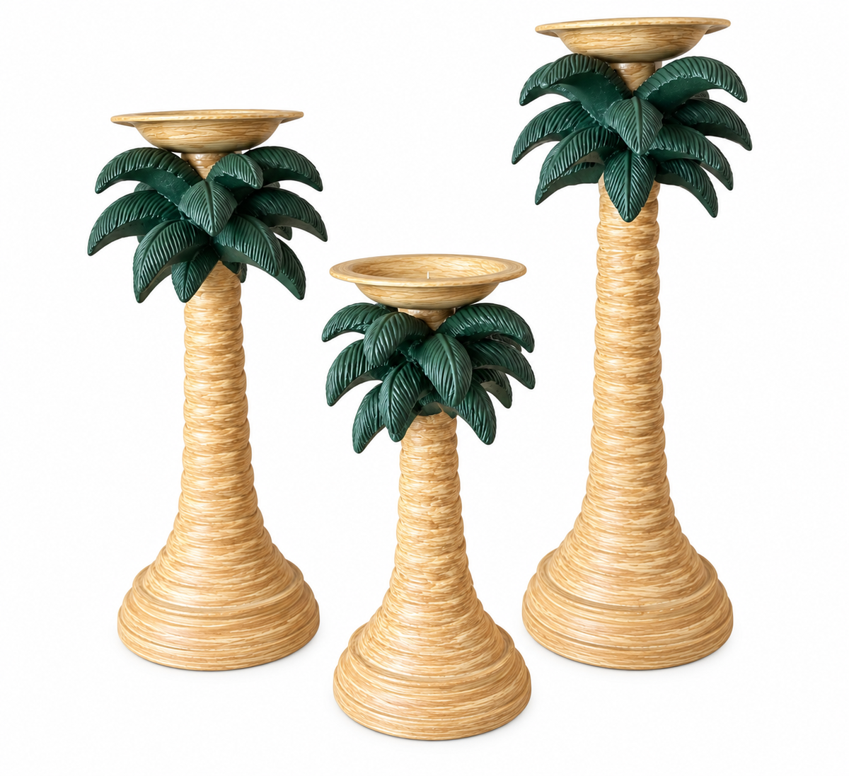 Tropical Palm Trees